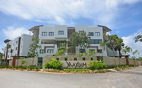 Oasis Yaaxlum